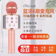 mic amgrass wireless mic microphone KTV Microphone