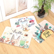 Ins Style Rabbit Doormats Floor Mats Bathroom Rugs Entrance Carpets Kitchen Rug