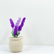 針織薰衣草小盆栽 新年花禮