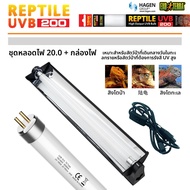 T8UVB หลอดแสง T8 พร้อมฝาครอบสะท้อนแสงสำหรับการให้แสง UVB บนแผ่นรองหลอดไฟ T8 สำหรับการเลี้ยงสัตว์เลื้