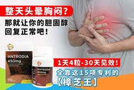 GKB Antrodia Liver Tonic (60's) 樟芝王