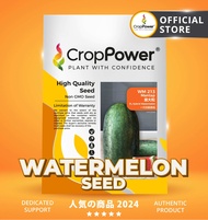 (20 GRAM) Biji Benih Tembikai Hitam Manis Mantap 蛮大粒 WM213 CROP POWER Black Beauty Watermelon Seeds 