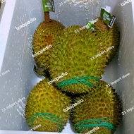 durian musang king utuh fresh malaysia 1 pcs