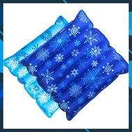 [ FREE COOL POWDER ] Seat water cushion 45x45, office/car seat cushion for summer