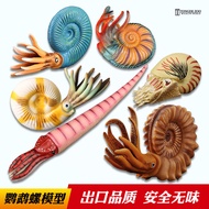 T Tongde Simulation Parrot Snail Toy Marine Animal Model Ammonite Animal Right Angle Stone Children'