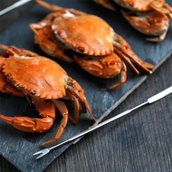 Seafood Tools Set Nut Crackers of 10 Pcs Seafood Opener Tool Set 4 Pcs Crab Crackers and 6 Pcs Seafo