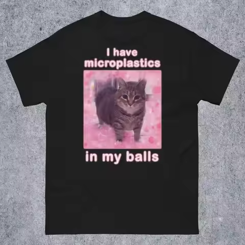 I Have Microplastics in My Balls Funny Cat Meme T-shirt Gift for Woman Ironic Cats Shirt Stupid Sill