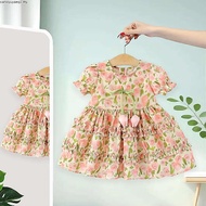 Baby Girl Flower Dress Summer New Countryside Style Children'S Clothing (9 Months -4 Years Old)