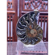 Premium Grade Ammonite crystal slab pendant (黑螺)- 13.2g