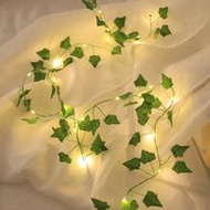 1pc 20/40/60 LED 2m/4m/6m Battery Operated Copper Wire Vine Lights, Fairy Lights For Home Decor, Par