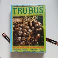 Collection of Trubus April Magazines - November 1989 6 Used Books