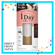 Cielo One Day 1Day Gray Hair Concealer - Natural Shades for Quick Touch-Ups