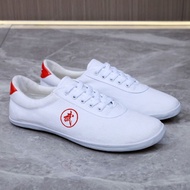 Martial Arts Shoes Tai Chi Practice Shoes Beef Tendon Sole Canvas Shoes Breathable White Shoes Marti