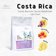 Poss Coffee Roasters - Costa Rica Canet Musician Beethoven เมล็ดกาแฟคั่วอ่อน