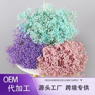 Gypsophila Preserved Gypsophila Dried Flower Bouquet Valentine's Day Gift Gypsophila Preserved Flowe