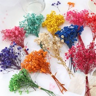 Natural Flower Bouquet Aromatherapy Craft Tool Valentine's Day Decoration Christmas Wreath Epoxy Resin Casting