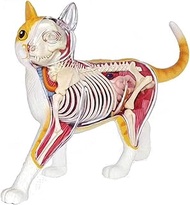 Home Office LAErper Teaching Model 4D Anatomy Cat Model Detachable Organs Body Parts Puzzle Assembli