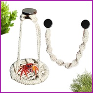 Jumping Spider Enclosure Decor 2 Pieces Cotton Rope Natural Hammocks Jumping Spider Enclosure Access