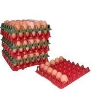 DOZEN CONTENTS 12pc EGG TRAY PLASTIC EGG TRAY EGG CONTAINER EGG TRAY EGG PLACE