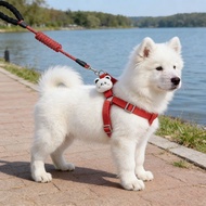 Extended 2m to 3m dog leash dog leash for walking Lengthened 2m 3m Dog Leash Dog Leash Dog walking T