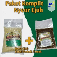 JAMU SAPI NYEOR EJUH PAKET KOMPLIT EXTRA GULA DAN EXTRA KELAPA PENGGEMUK SAPI JAMU PENGGEMUK SAPI OB