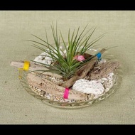 讓我們做吧 漂流木手機 漂流木衣架 天然室內裝飾 手工製作 室內裝飾雜貨 漂流木藝術 漂流木室內裝飾 花底裝飾