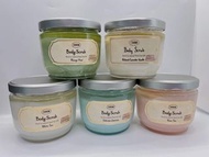 [現貨] 有匙正版大樽600g Sabon Body Scrub Green Rose/ White Tea/Mango Kiwi/ Delicate Jasmine/ Patchouli Laven
