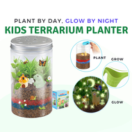 [SG 🇸🇬 Ready Stock] NEW Terrarium Kit Magic Luminous Grass Early Educational DIY Toy Set Pot Planting For Kids