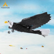 Hawwinde máy bay RC Chim Đồ chơi máy bay RC 2 kênh tàu lượn RC
