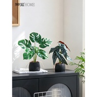 Simulation Green Plant Bonsai Decoration Home Living Room Bedroom Desktop Fake Plant Potted Plant Of