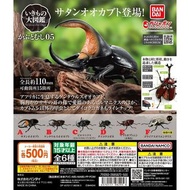 〘散賣〙 BANDAI GASHAPON 環保扭蛋 獨角仙編 昆蟲系列 可動 甲蟲 第5彈 扭蛋 (全6種) いきもの大図鑑 くわがた 05