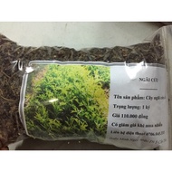 500 grams of wormwood, dried and cleaned at home