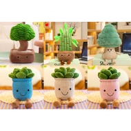 [SG Instocks] #7 Trees bonsai bamboo pine tree pots