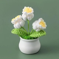 DIY 3D Flower Crochet Pattern - Crochet Flower Pot - Crochet Pots and Planters - Crochet Home Decor - Crochet Gifts for Women