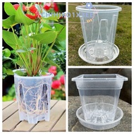 CHIHIRO1X3EE Phalaenopsis Orchid Potted, Round Square  Transparent Flower Pot, Reusable Breathable A