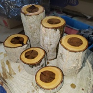 mini wood log(3inch),kayu ketul kecik