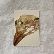 綠繡眼 烏鴉 水彩 圓角明信片