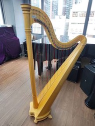 Salvi Ana Lever Harp 40弦豎琴