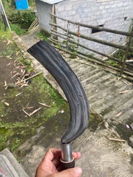 Arit sadap balikmipih ukuran 4-5cm