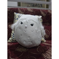 Korean Drama Encounter Owl