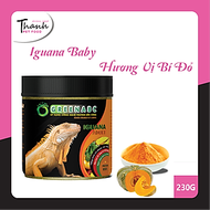 Thức ăn bò sát Iguana Trưởng Thành nhãn GREENABC vị bí đỏ dùng cho Iguana từ 1m trở lên – Gai bung, 