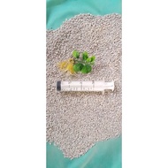 Cat syringe 1ml 5ml 30ml cat syringe ️AL ️