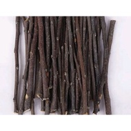 Apple Stick Wood For Pets bite