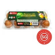 Seng Choon Eggs - 1st Born 10 eggs Total 400g