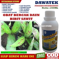 Obat Bercak Daun Bibit Sawit Paling Ampuh DAWATEK 250ML Fungisida Organik Hayati Obat Semprot Bercak Daun Kelapa Sawit Obat Daun Sawit Kuning  Obat Kelapa Sawit Mati Pucuk yang Bagus dan Manjur Obat Busuk Buah Kelapa Sawit MURAH TERLARIS