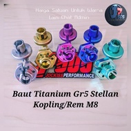 Titanium Bolt Gr5 Stellan Clutch Handle/Rem M8 (12)