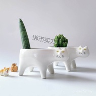 Cat Monkey Tail Pillar Flowerpot New Style Tail Nine-Tailed Fox Green Plant Desktop Plant Cartoon Ar