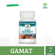 Gamat Kapsul HNI HPAI Mengatasi Sakit Pinggang Suplemen Tulang dan