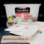 &lt; Nutribird A21 &gt; แบ่งขาย อาหารนก อาหาร อาหารลูกป้อน อาหารลูกนก อาหารเหลว นก  เลิฟเบิร์ด ฟอฟัส กระตั้ว นกแก้ว ซันคอร์นัว