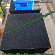 Bioblox Bio blox Foam Filter for Koi Pond bioblok Pond 50 x 50 x 5 cm